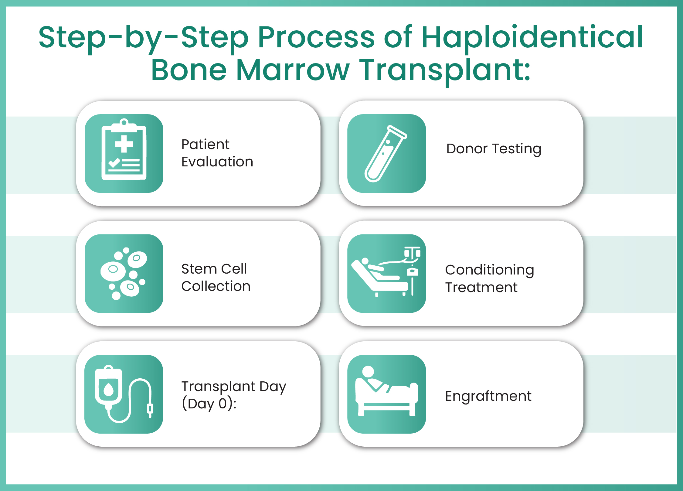 Haploidentical Bone Marrow Transplant