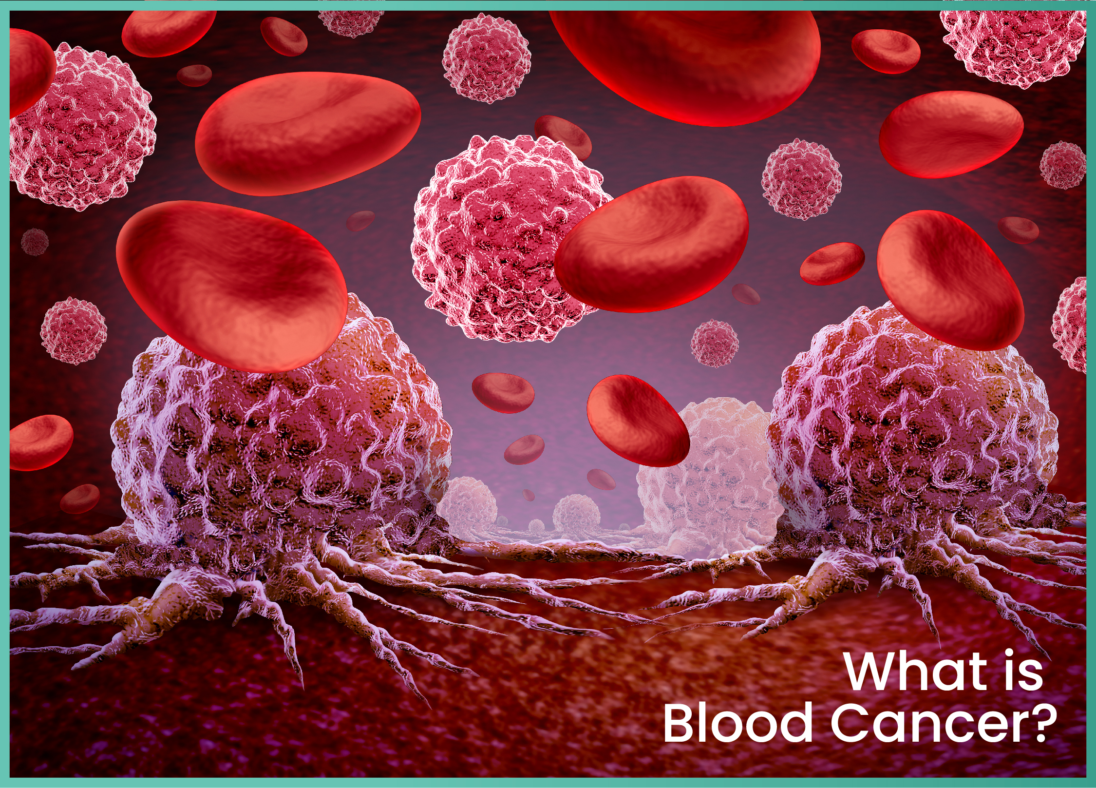 blood Cancer