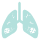 Icon 8